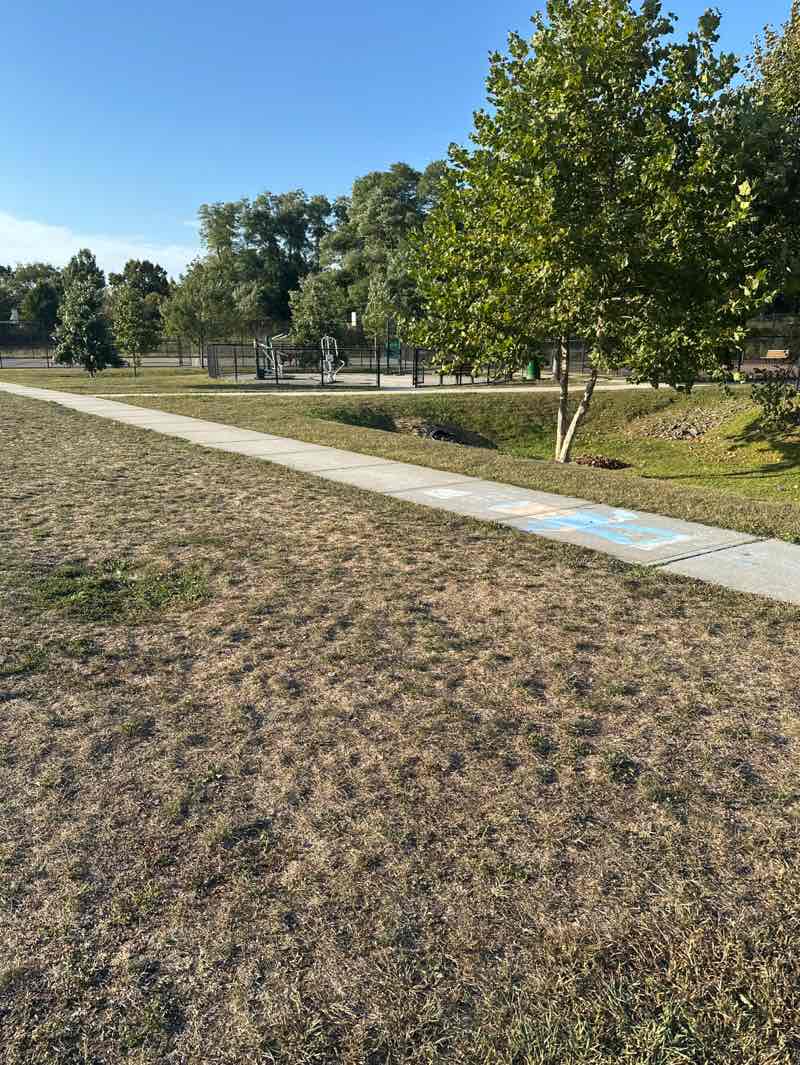 walking near me in Sweet Hollow Park in autumn