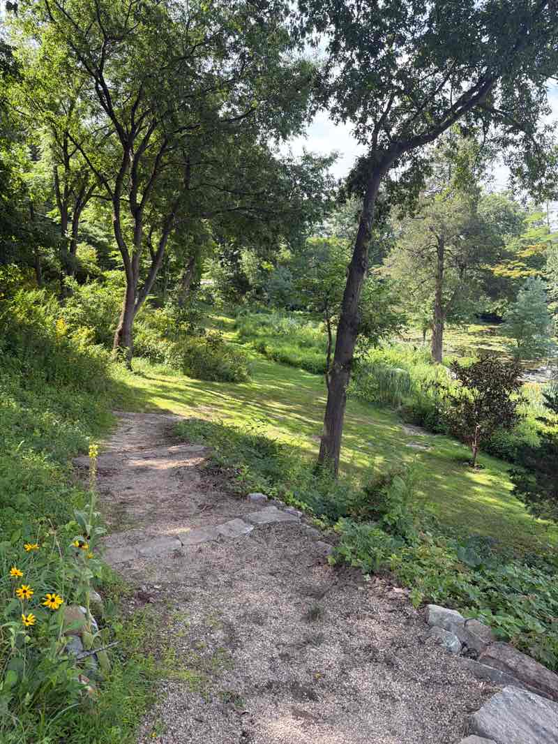walking near me in Cedarmere in summer