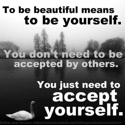 Camminare in compagnia Ashok post image