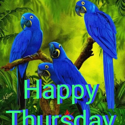 Polska - Dystans Ashok post image