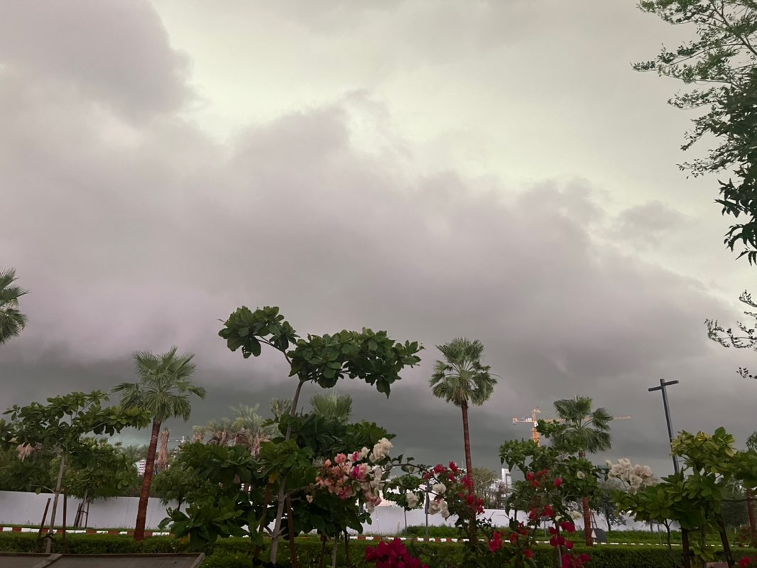 Karimeen Krew_Sanooja profile