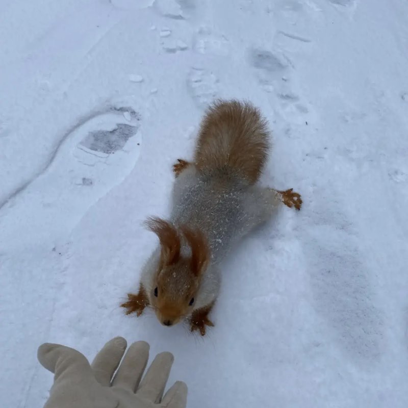 Ольга 🔥🇷🇺 post 1