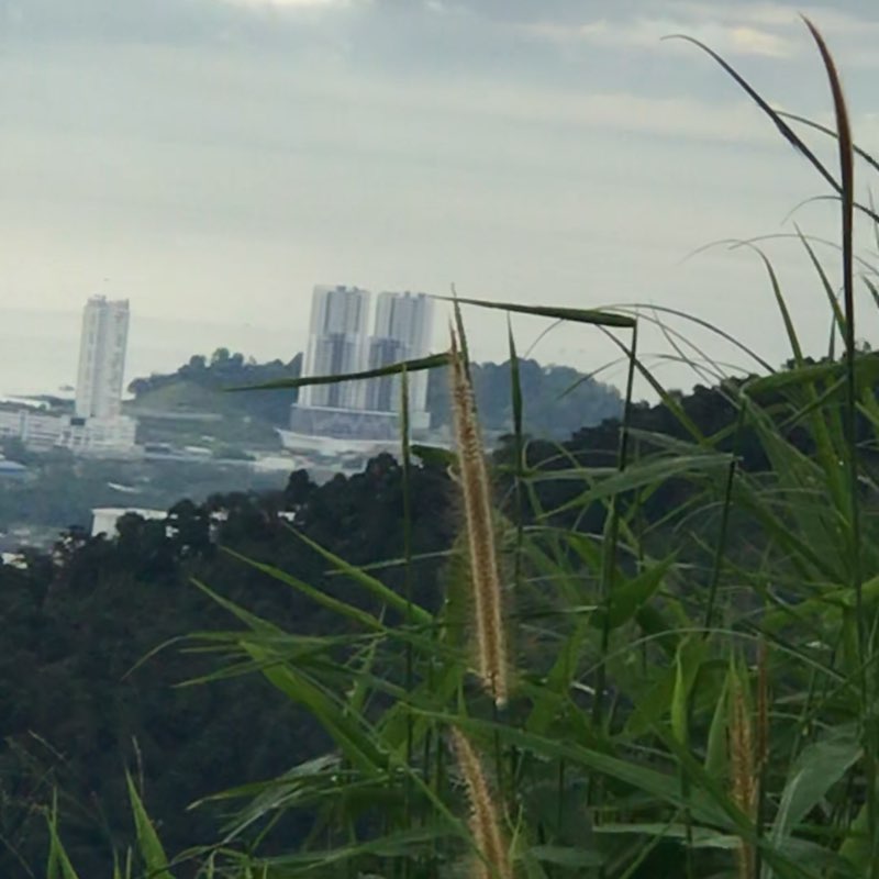 Poona1717💕🏞🏃🏿‍♀️🧸🎀🛍 post 3