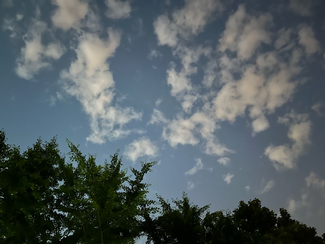 walking near me in 桃溪公园 in winter