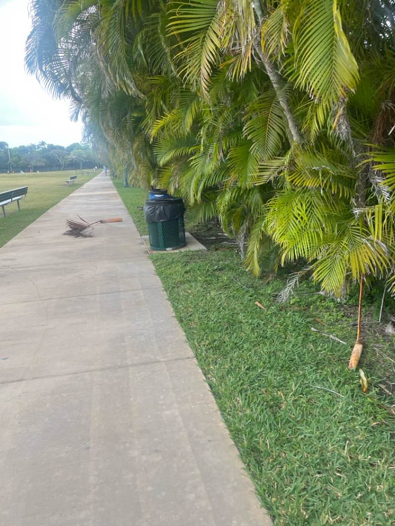 walking near me in Pinecrest Gardens in spring