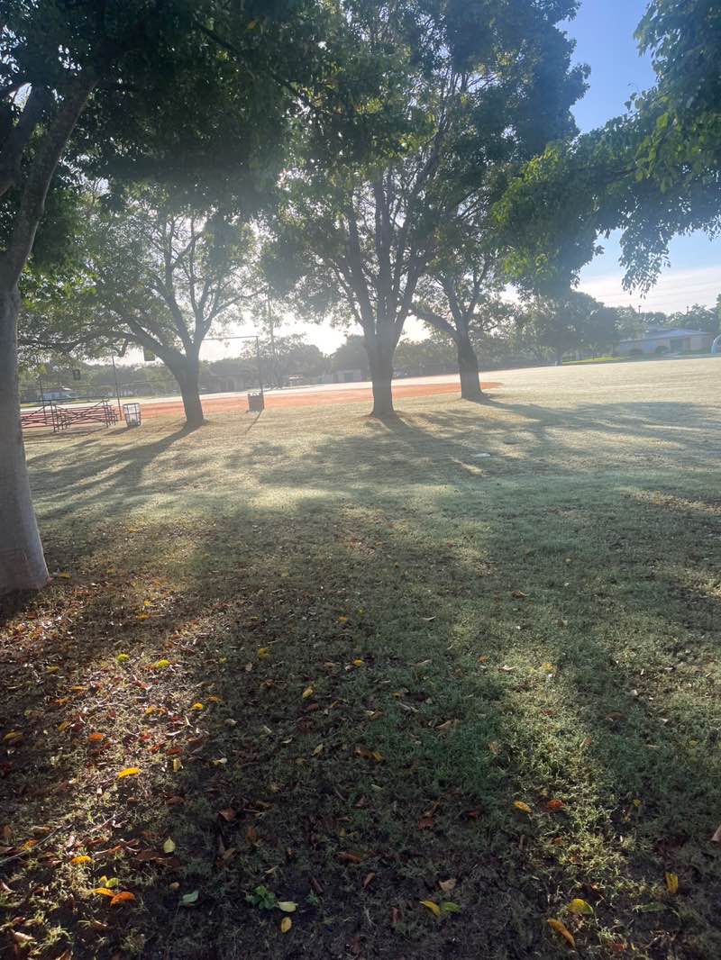 walking near me in Continental Park in autumn