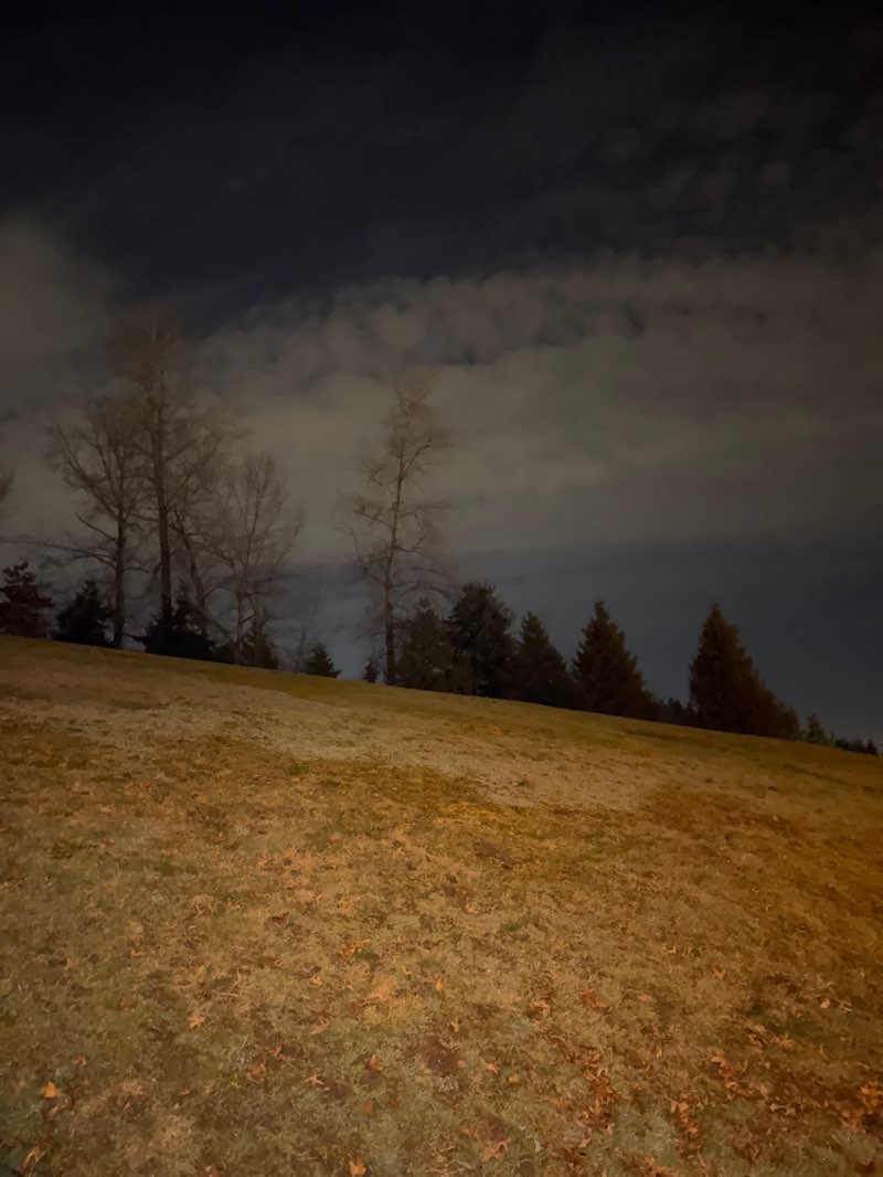 walking near me in Panorama Village Park in winter