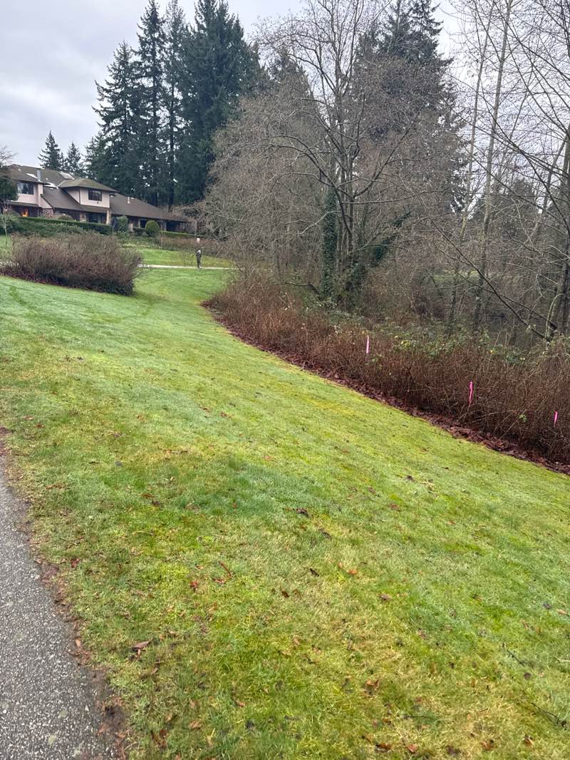 walking near me in Southmere Village Park in winter