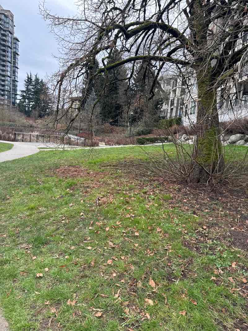 walking near me in Victoria Hill Park in winter