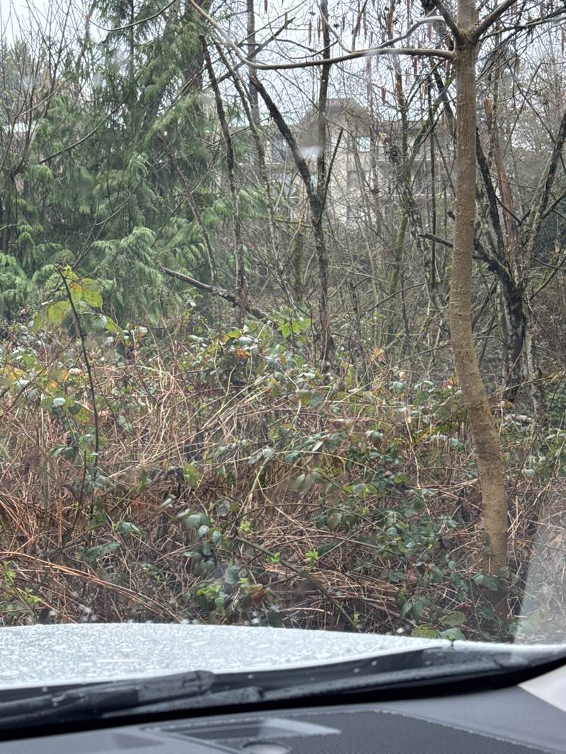 walking near me in Switzer Park in spring