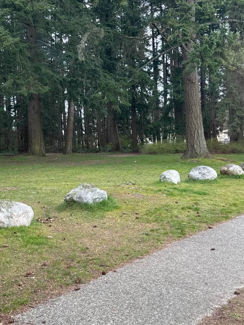 walking near me in Sunshine Hills Park in spring