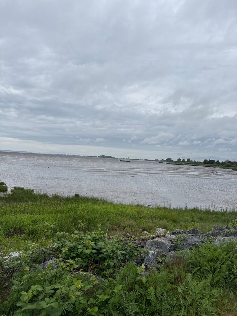 walking near me in Mud Bay Park in spring