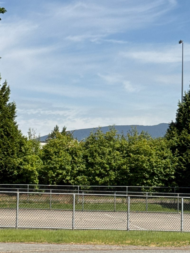 walking near me in McLean Park in summer