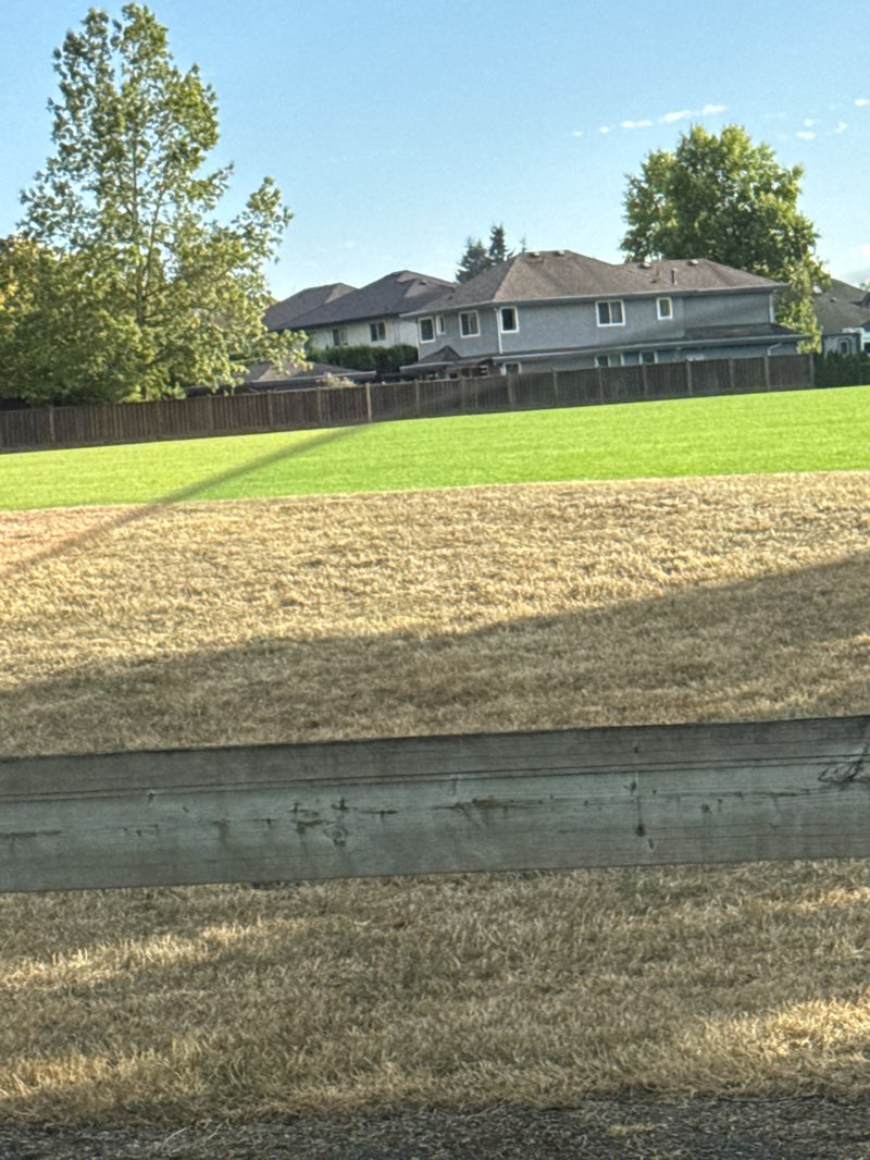 walking near me in Denny Ross Memorial Park in summer