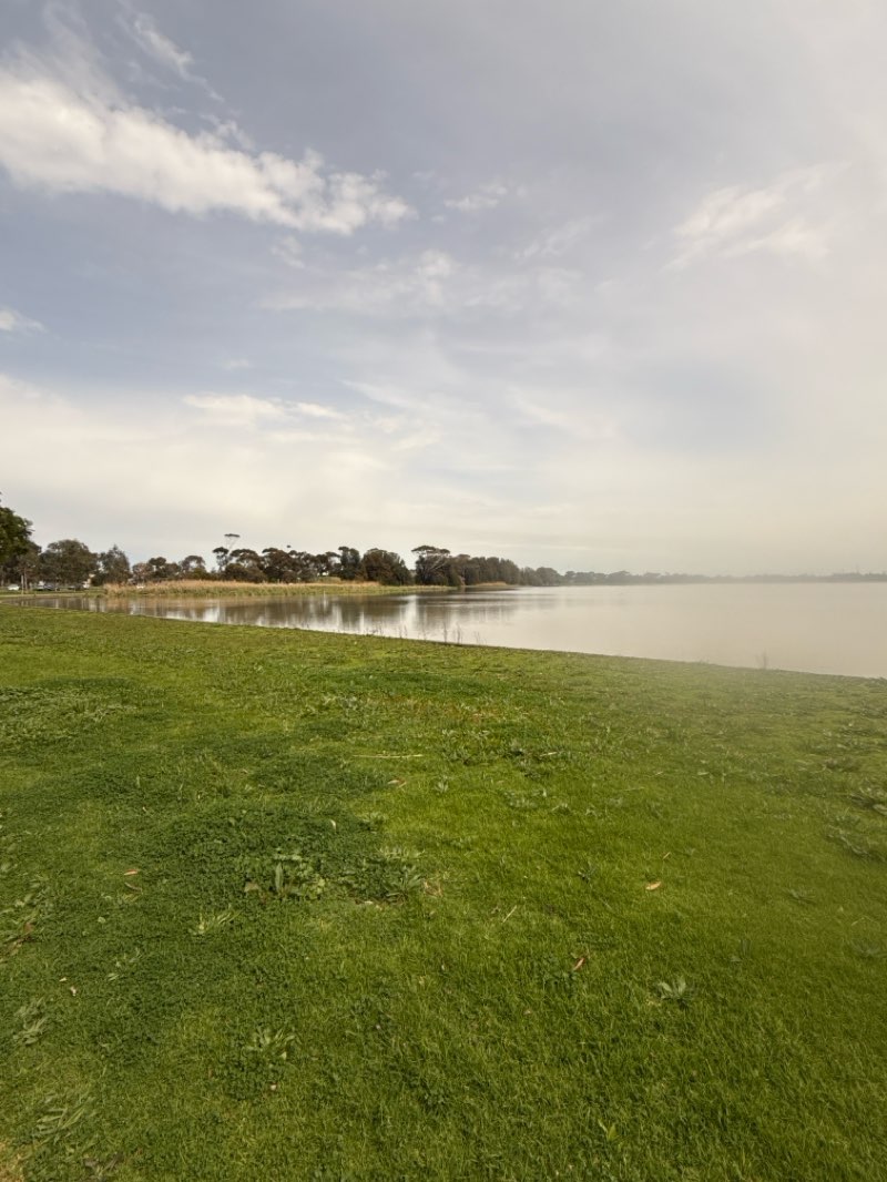 walking near me in Grant Reserve in spring