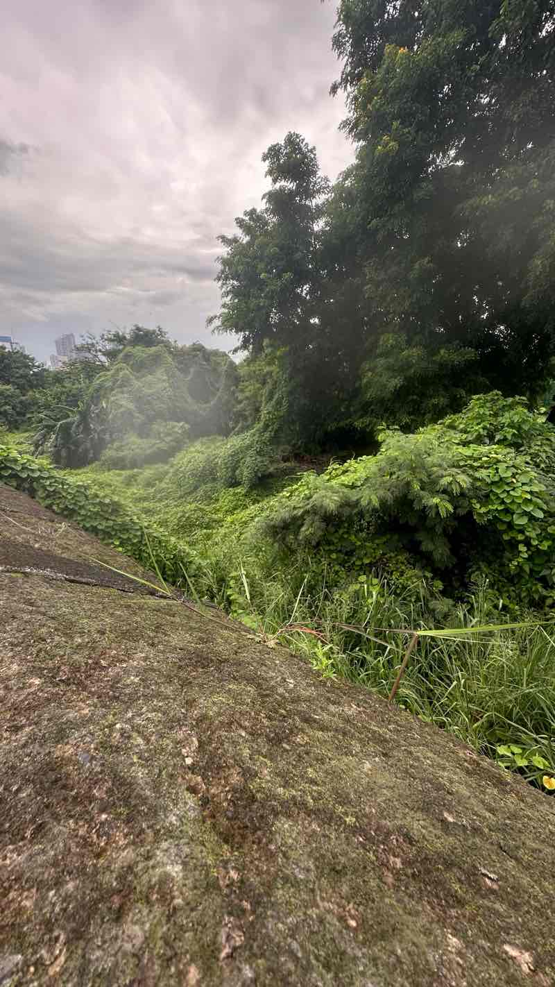 walking near me in Plaza Lawton in winter