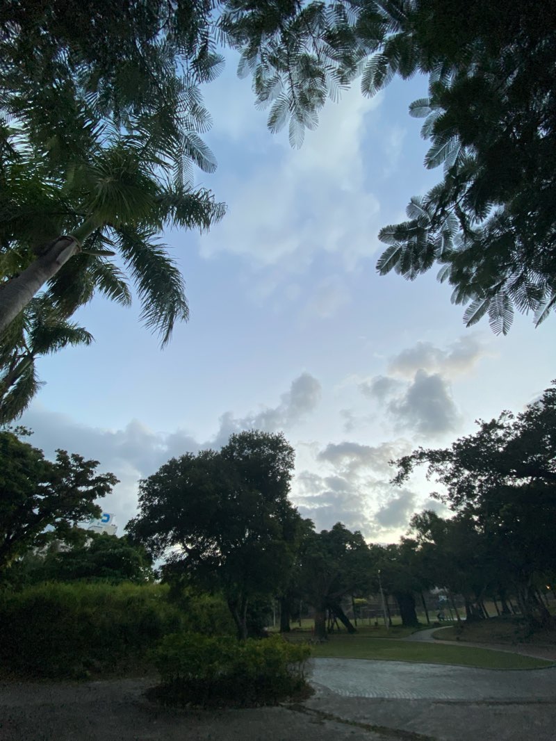 walking near me in 緑ヶ丘公園 in winter