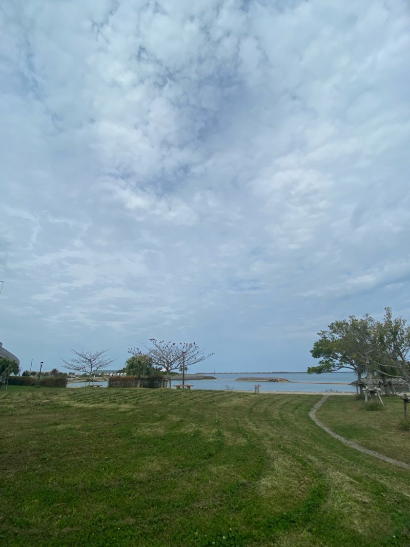 walking near me in Asahigaoka Park in winter