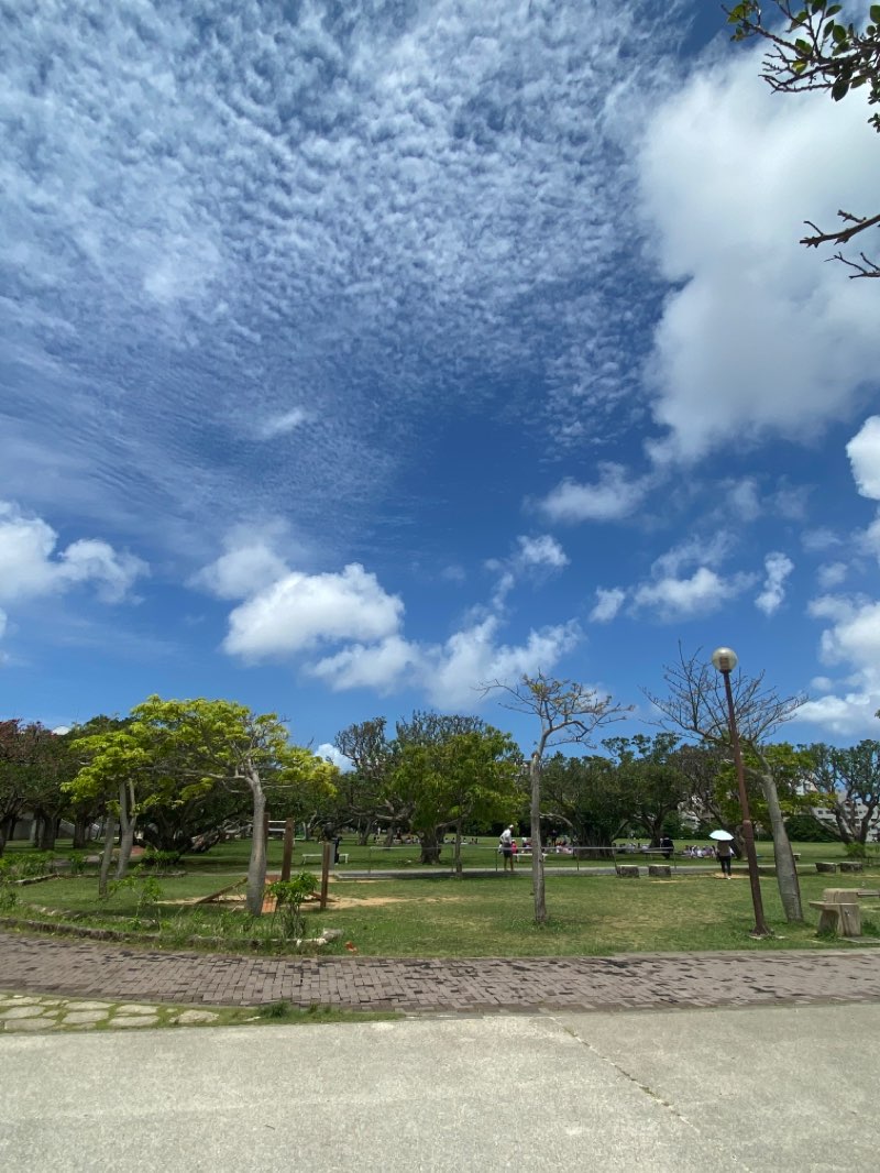walking near me in Shintoshin Park in winter