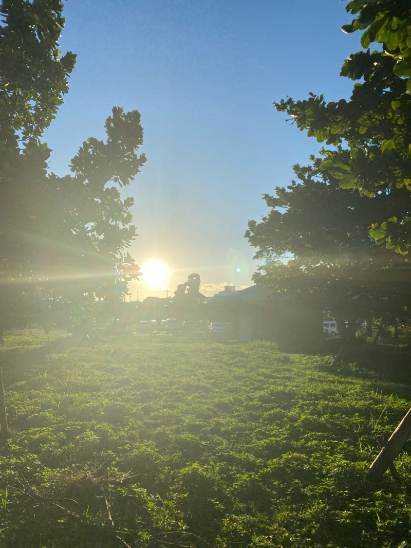 walking near me in Matsuyama Park in winter