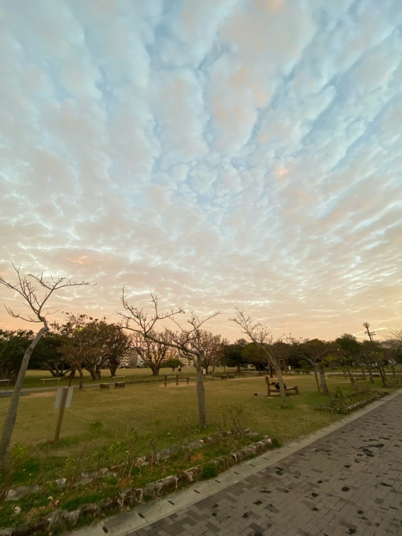 walking near me in 新都心公園 in winter