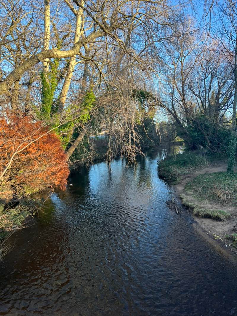 walking near me in Saughton Park Gardens in winter