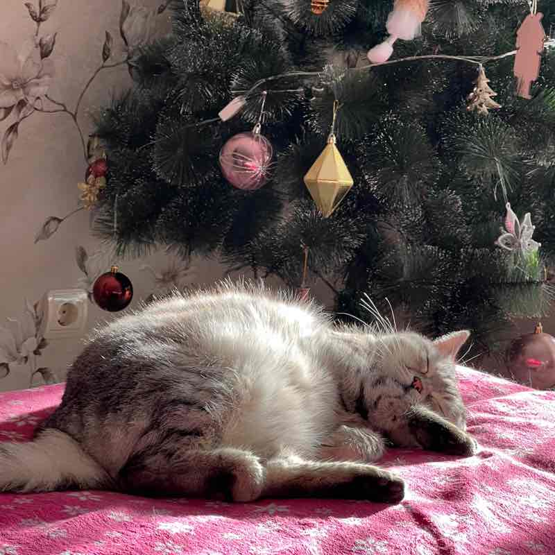 Darya🌷🔥 post 1