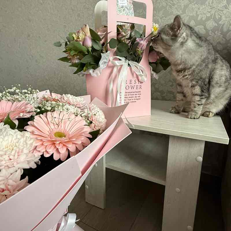 Darya🌷🔥 post 2