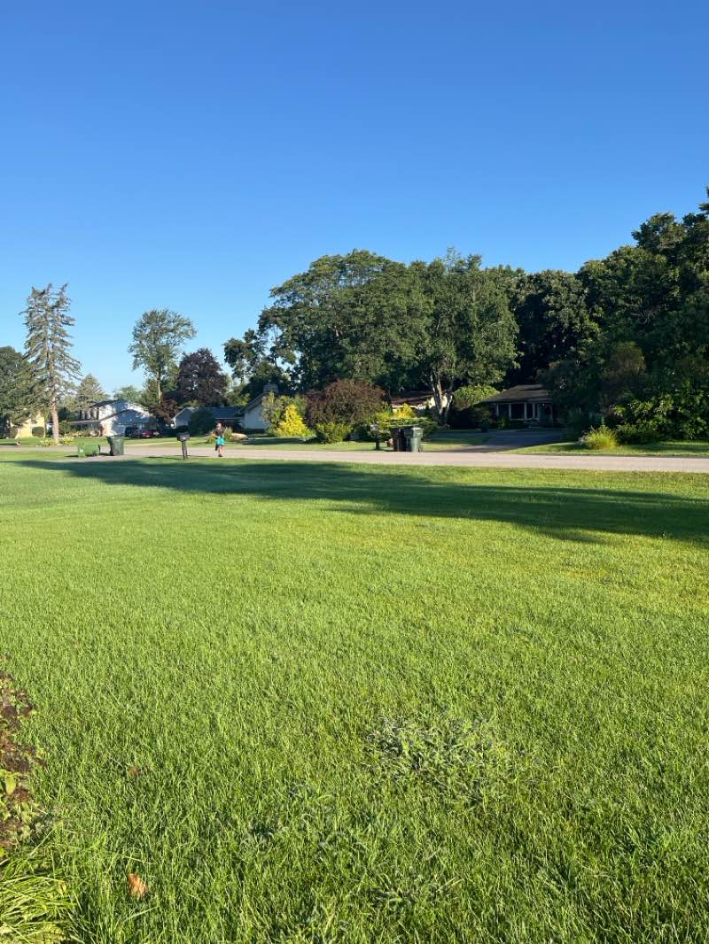 walking near me in Macomb Orchard Trail in autumn