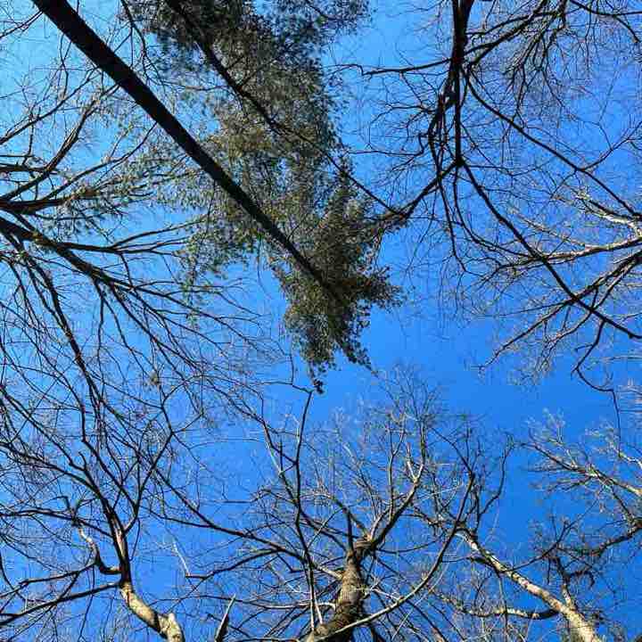 Quanli 🏊‍♀️ 🏃‍♀️ post 1