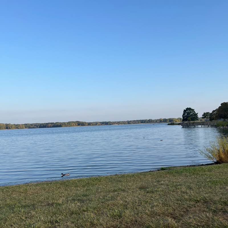 Quanli 🏊‍♀️ 🏃‍♀️ post 1