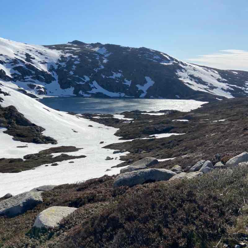 GSC Steptember amber.lee.roberts post image