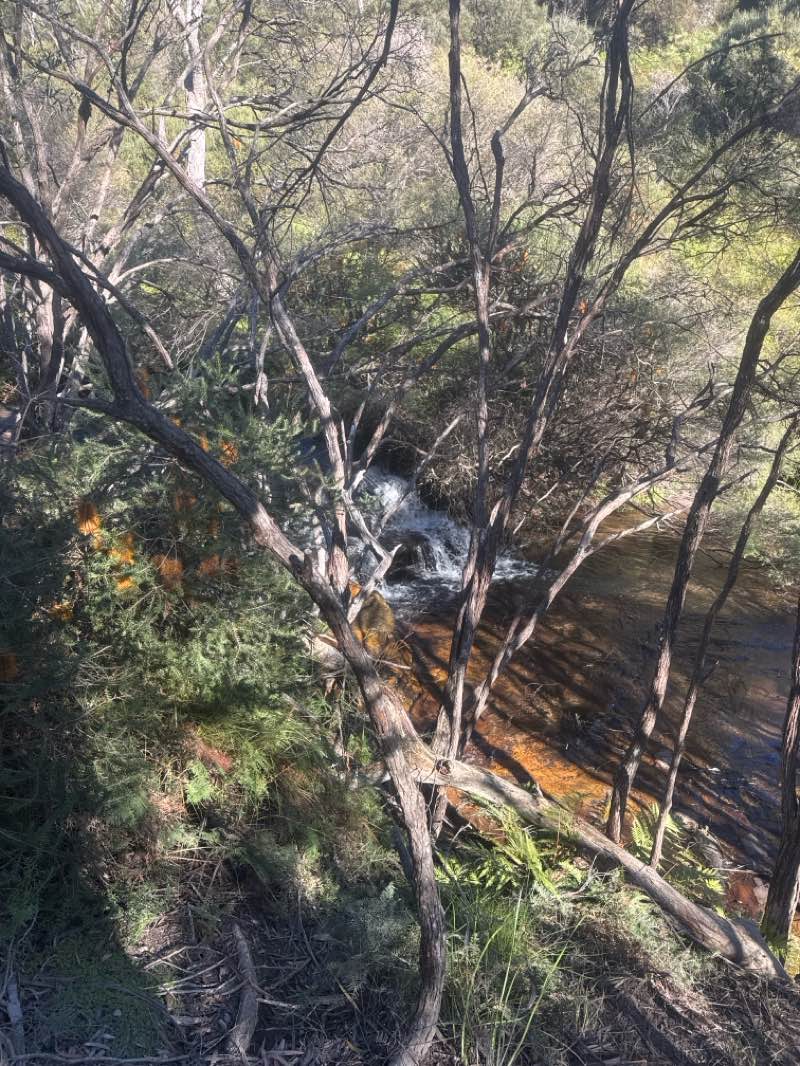 walking near me in Blue Mountains National Park in winter