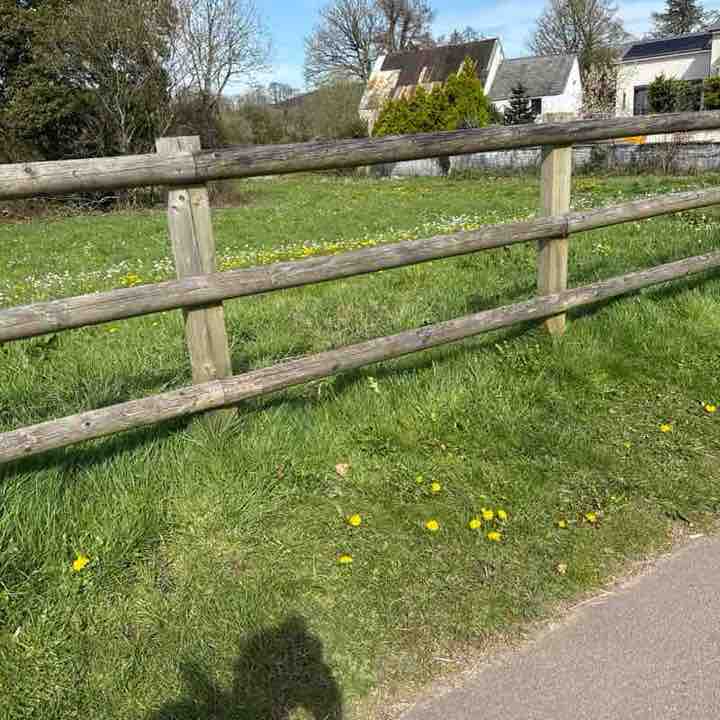 rog.lane54 post 1