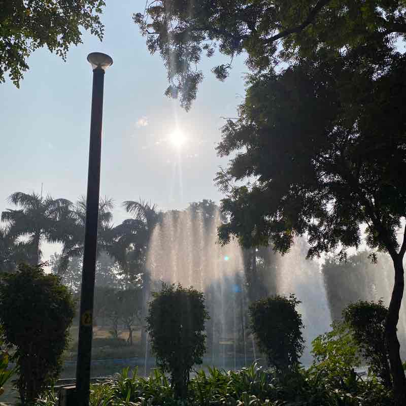 DELHI DAREDEVILS Priyanka post image