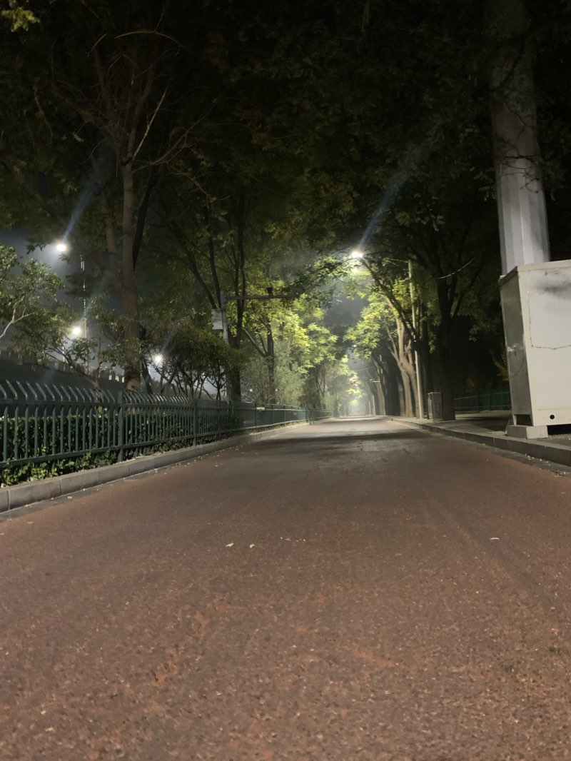 walking near me in Century Park in winter