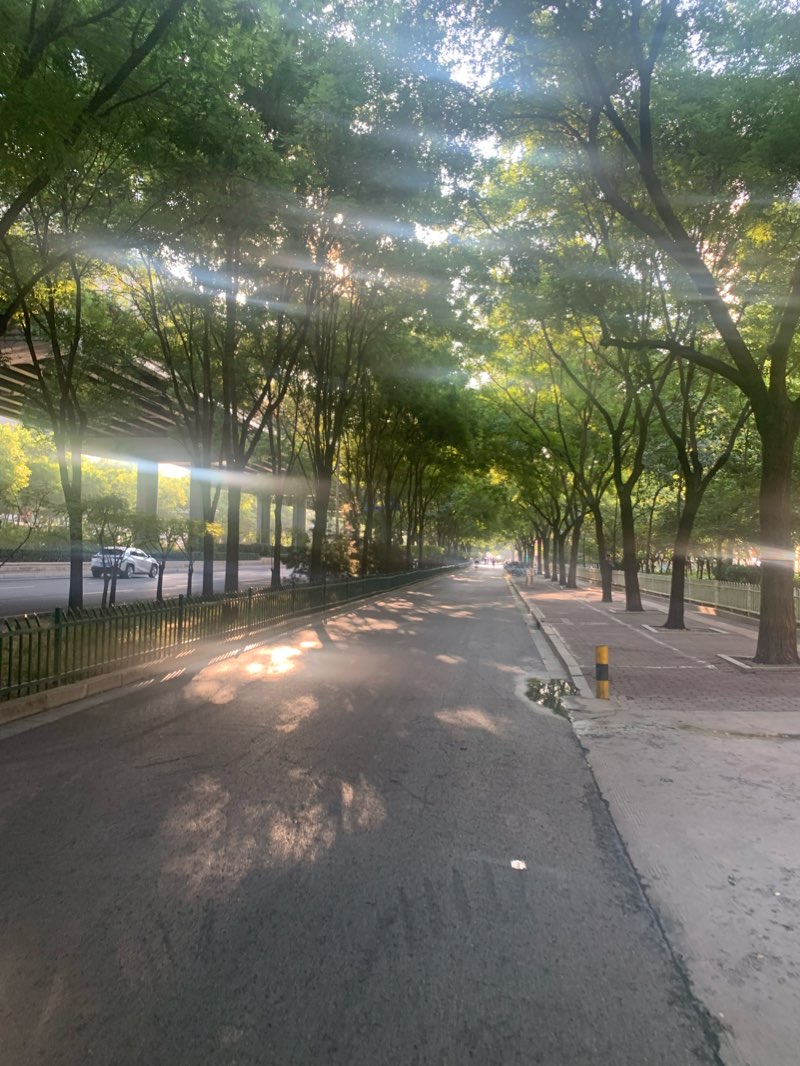 walking near me in Donghuan Park in winter