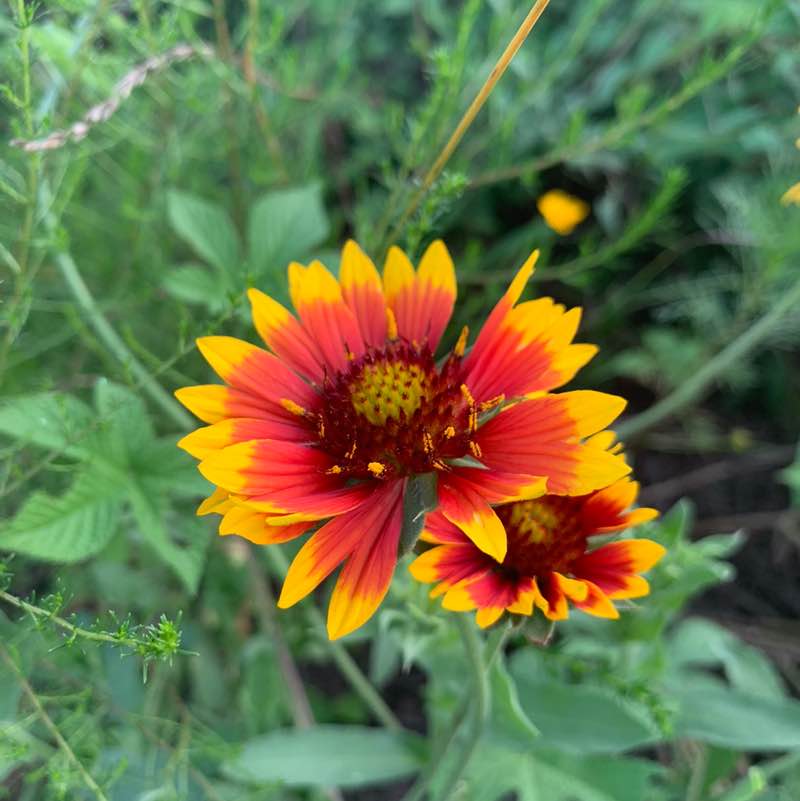 小胖墩和小屁孩儿 post 3