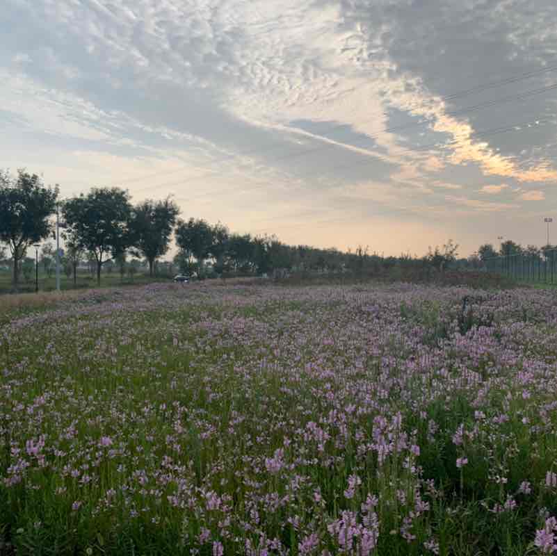 小胖墩和小屁孩儿 post 1