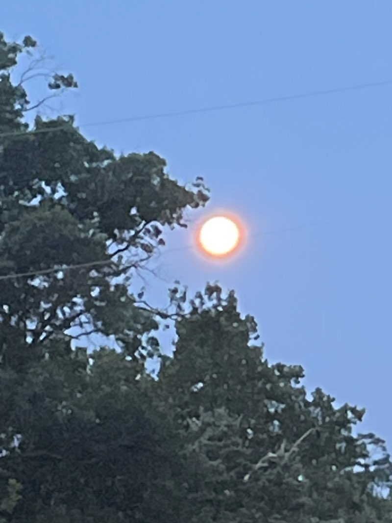 walking near me in Burgundy Park in winter