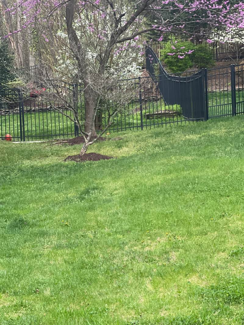 walking near me in Clermont Park in winter