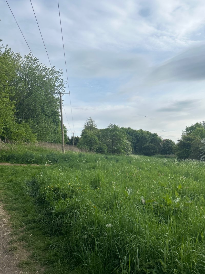 walking near me in Cuttle Brook Nature Reserve in spring