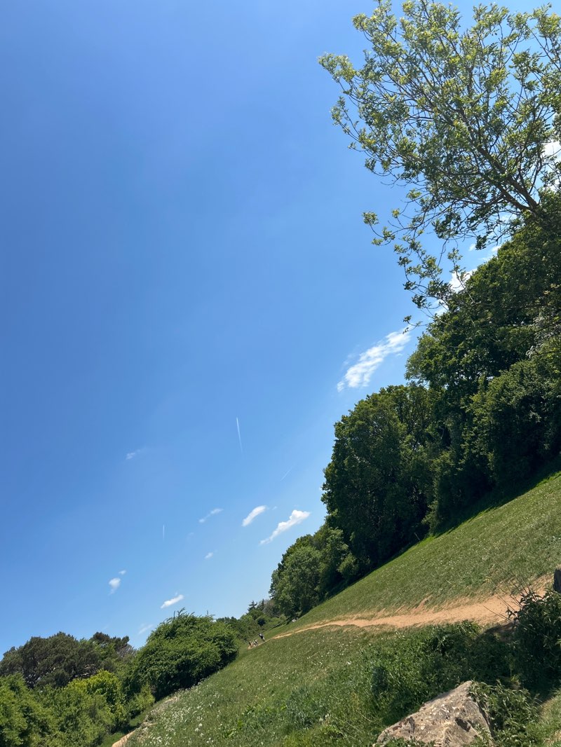 walking near me in Brasenose Wood and Shotover Hill in spring