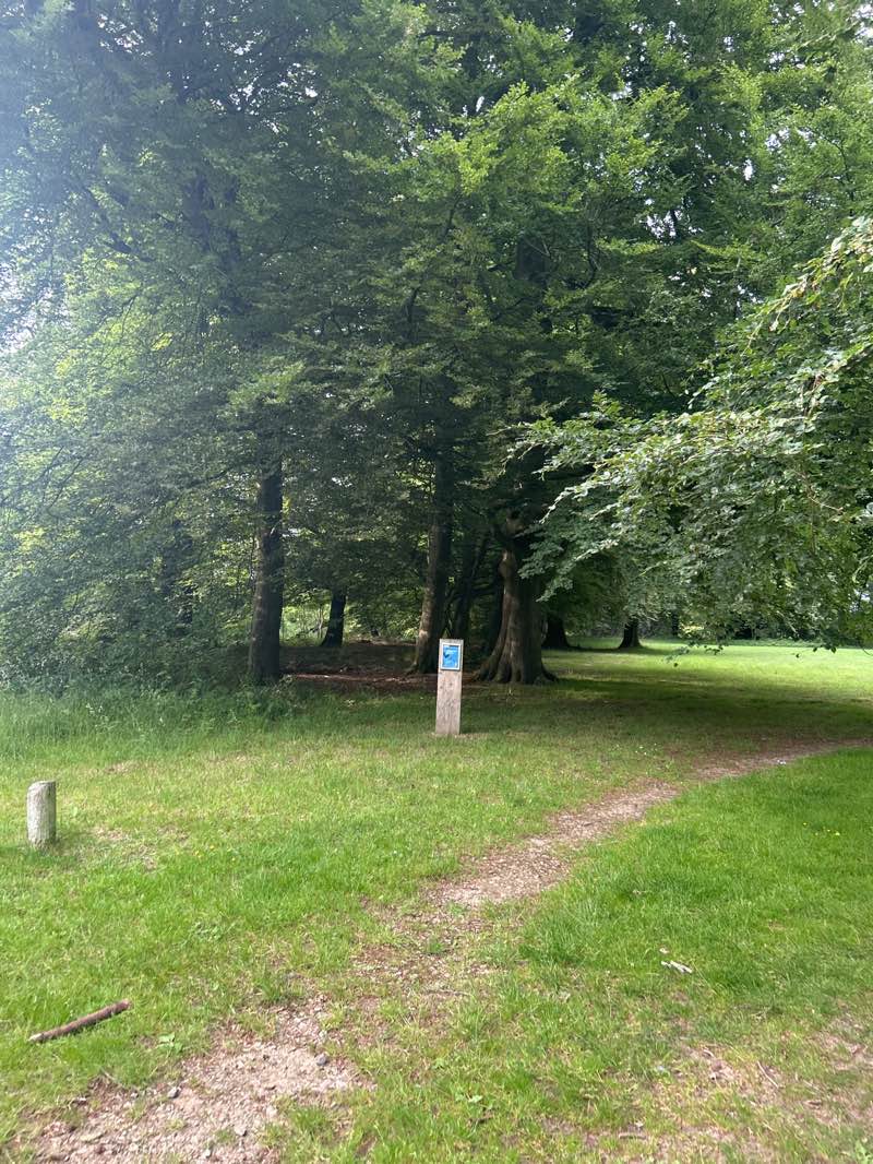 walking near me in Aston Rowant Nature Reserve in summer