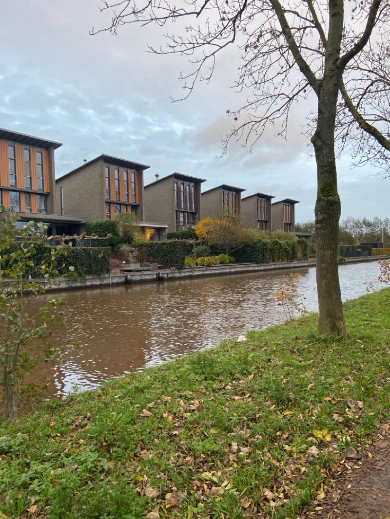 walking near me in Kloosterplantsoen in winter