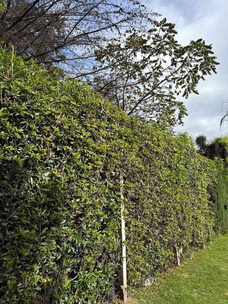 walking near me in Parque El Country in autumn