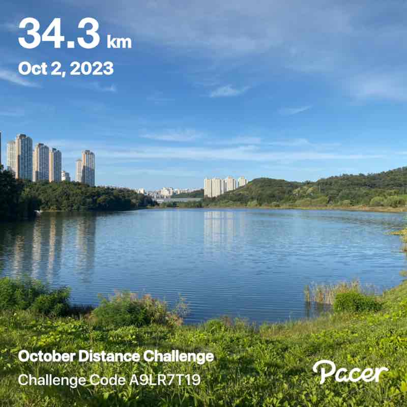 🇳🇿 .. Nicholas.. 🇰🇷 post 1