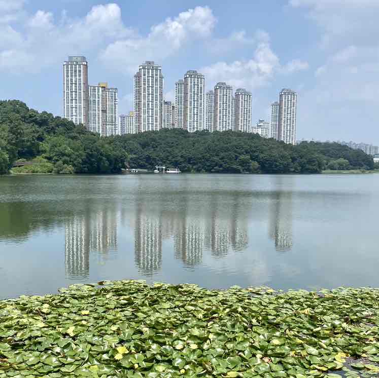 🇳🇿 .. Nicholas.. 🇰🇷 post 3