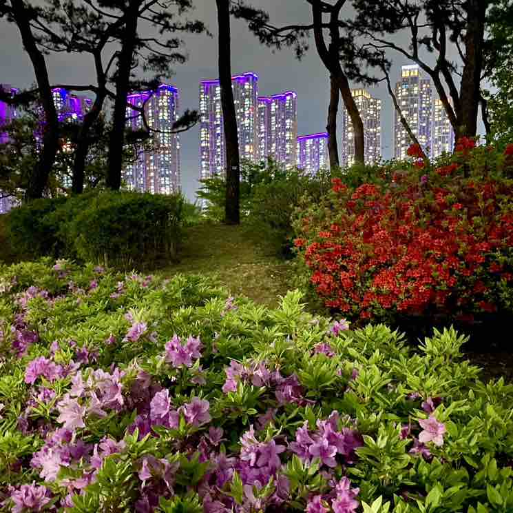 🇳🇿 .. Nicholas.. 🇰🇷 post 1