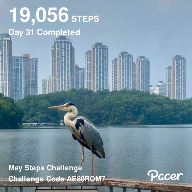 🇳🇿 .. Nicholas.. 🇰🇷 post 1